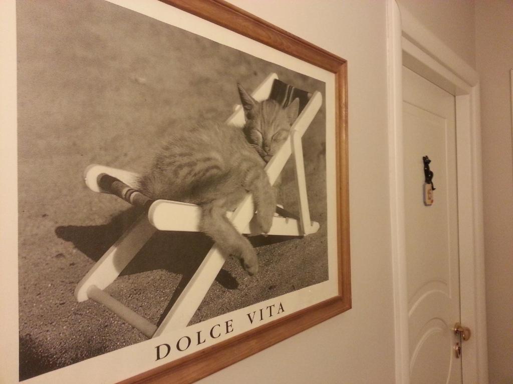 Hotel Il Gatto Rapallo Bagian luar foto